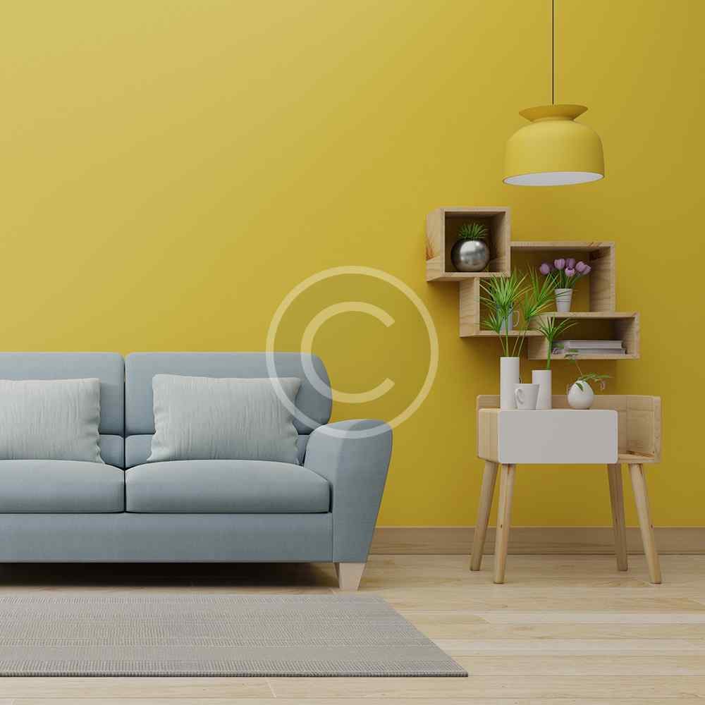 product-image3-copyright