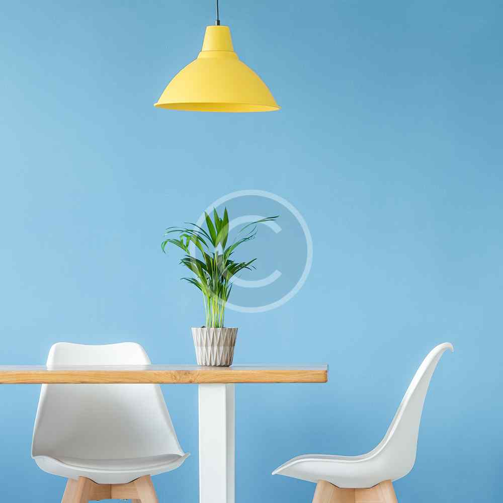 product-image1-copyright