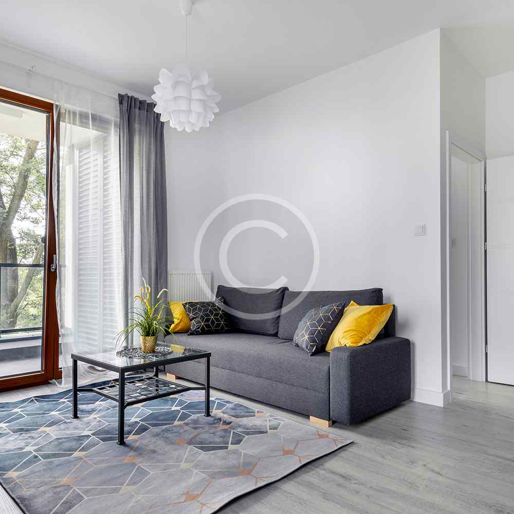 product-image19-copyright