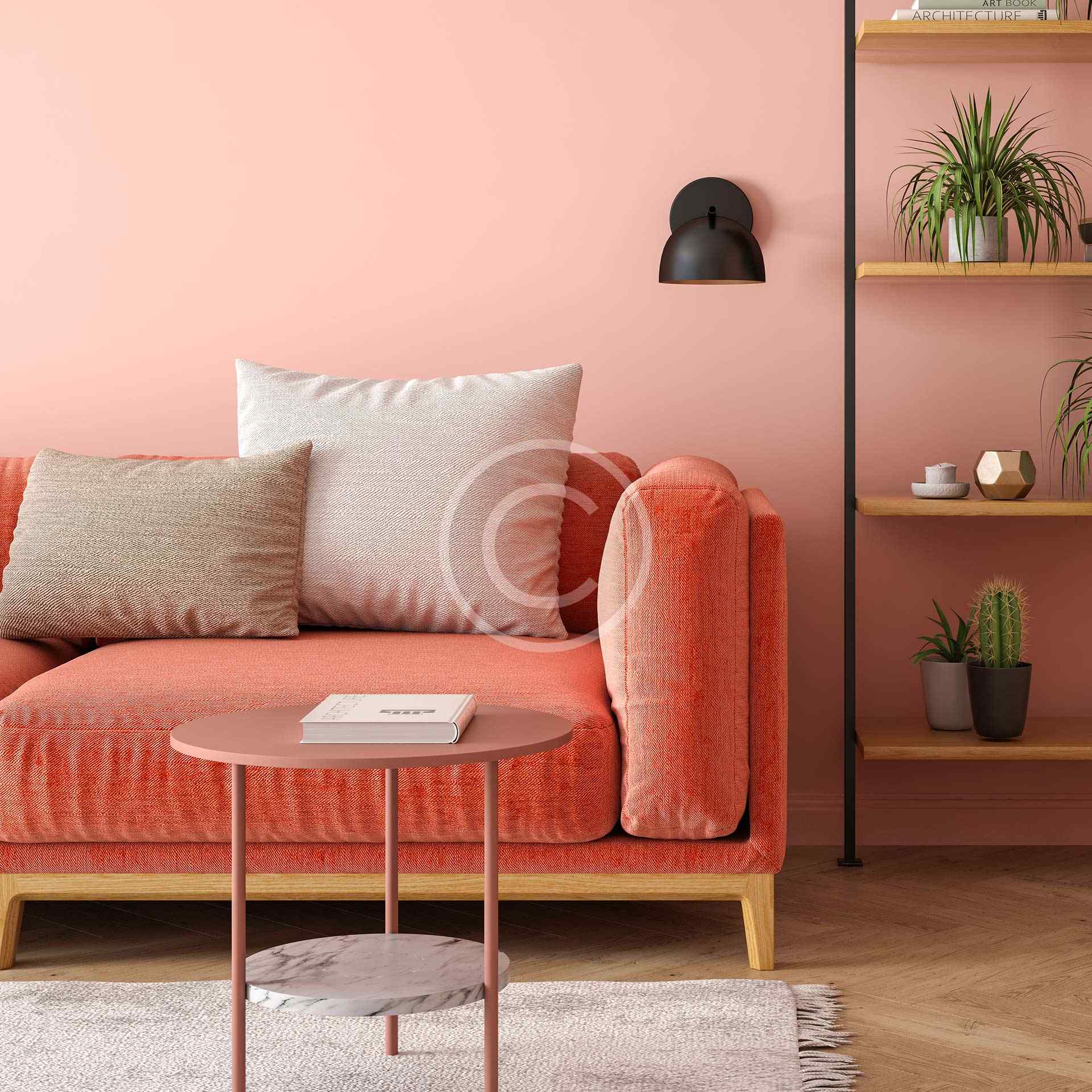 product-image11-copyright